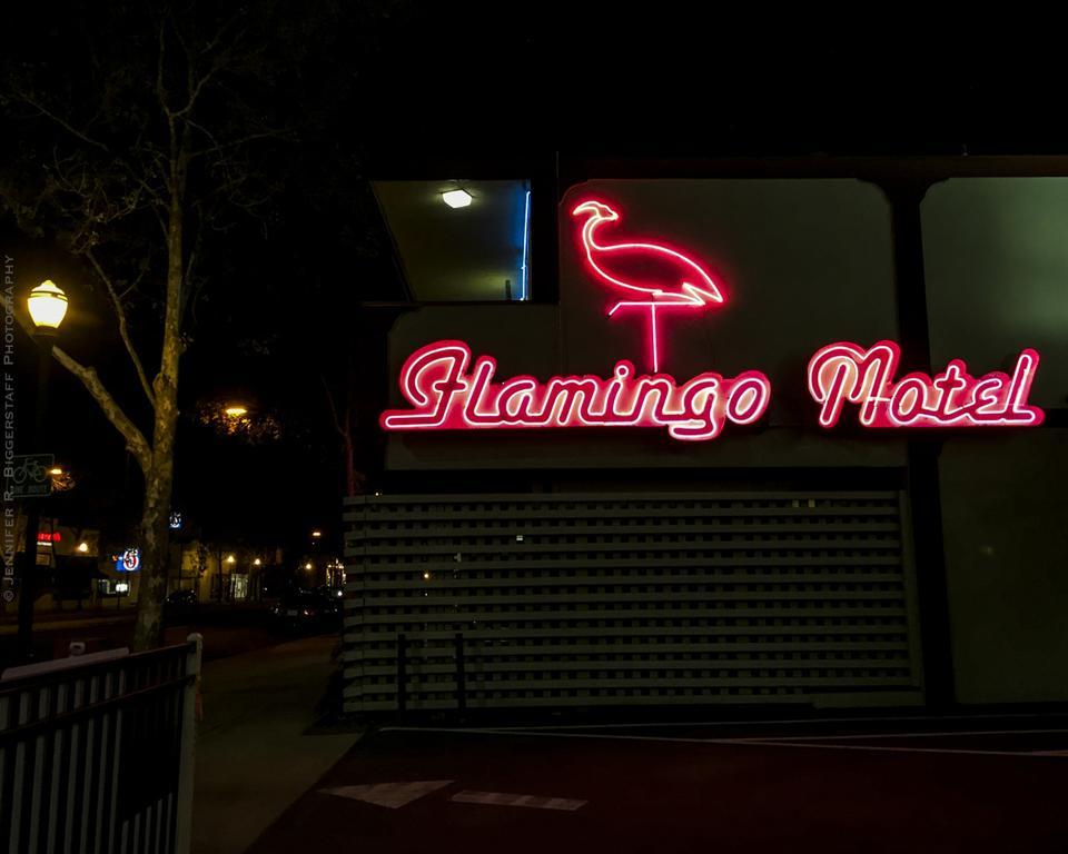 The Flamingo Motel San Jose Exterior photo