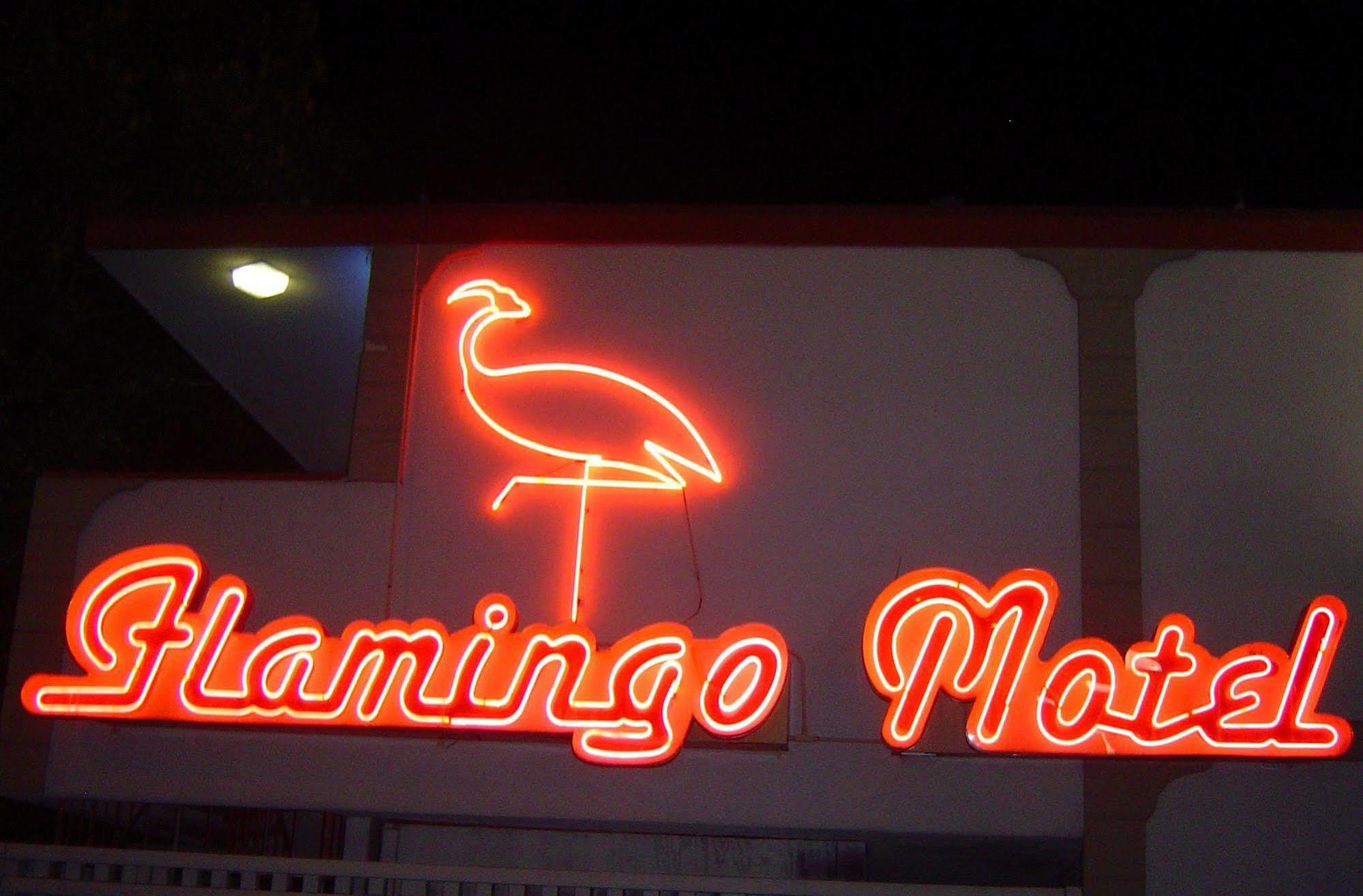 The Flamingo Motel San Jose Exterior photo